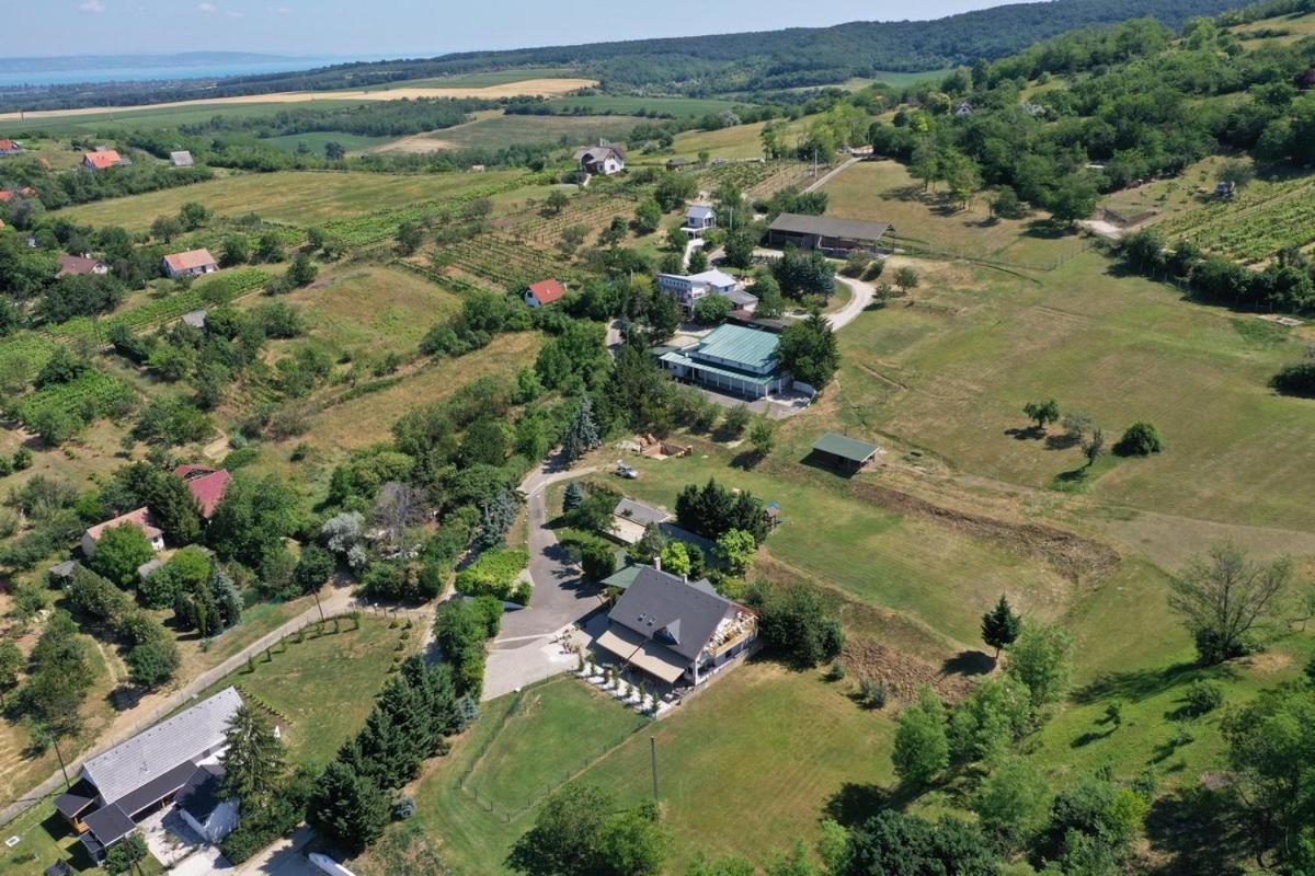 Borkuti Panzio Es Apartman Balatonszárszó Εξωτερικό φωτογραφία